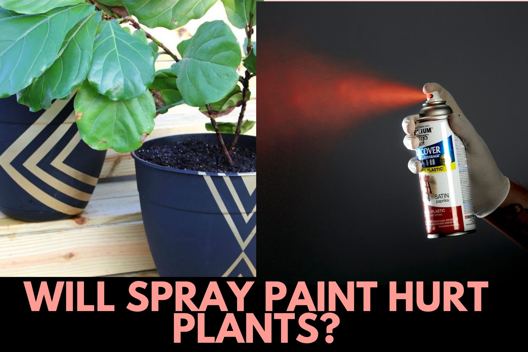 Will Spray Paint Kill Plants